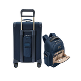 Business Trip Set (Essential 22" Carry-On Expandable Spinner + Large Cargo Backpack)