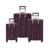 Lifetime Set (Essential 22" Carry-On Expandable Spinner + Compact 24" Checked Expandable Spinner + Large Expandable Spinner)