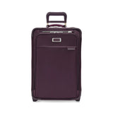 22" Essential 2-Wheel Carry-On (Baseline)