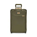 22" Essential 2-Wheel Carry-On (Baseline)