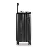 22" Domestic Carry-On Expandable Hard-Sided Spinner (Sympatico)