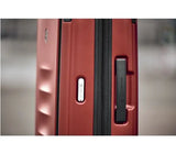 Trunk Large Case (Spectra 3.0)